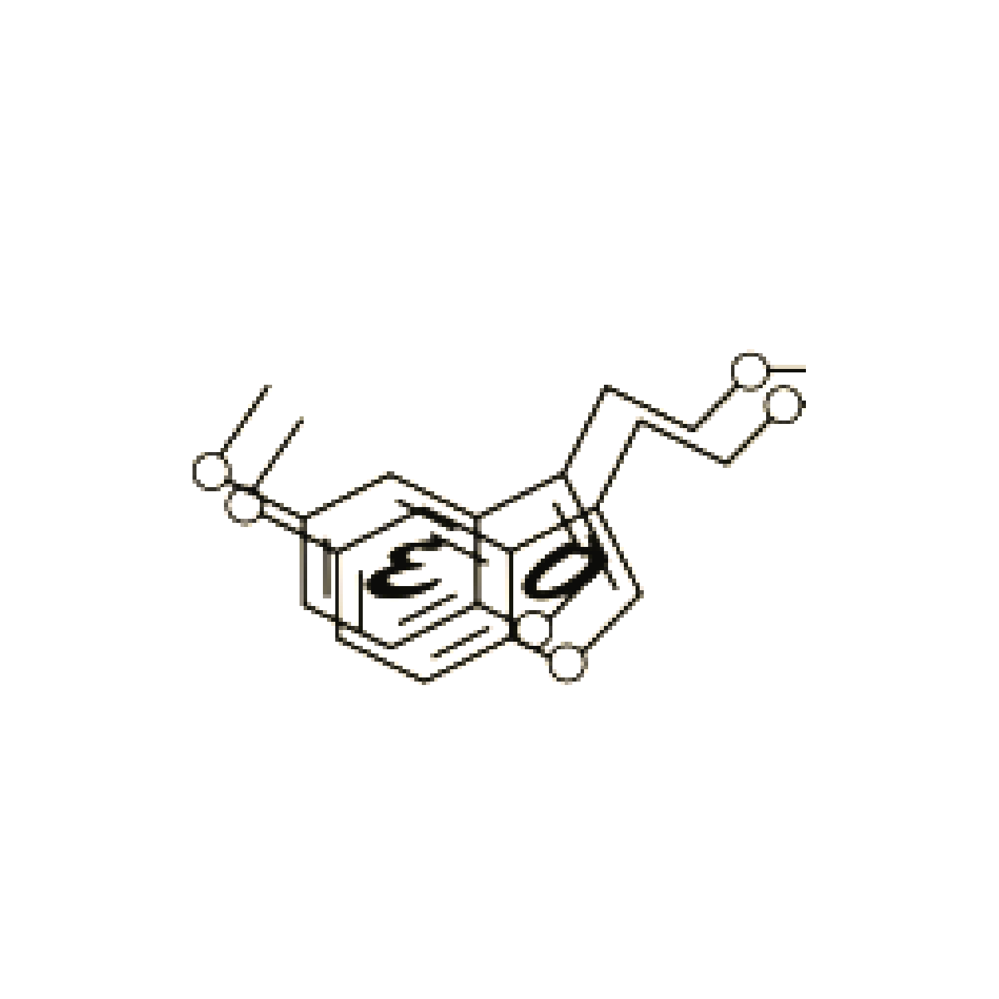 Rol-Agro
